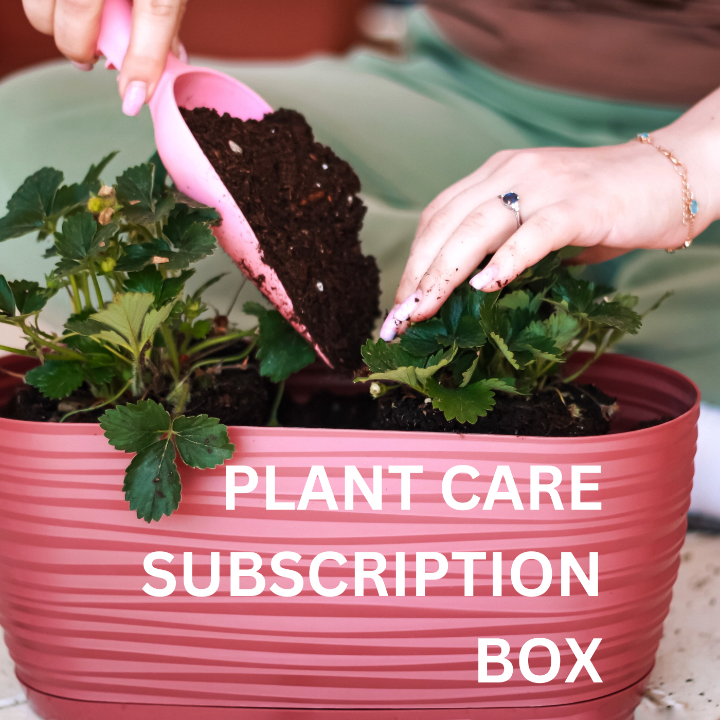 Plant Care Subscription Box