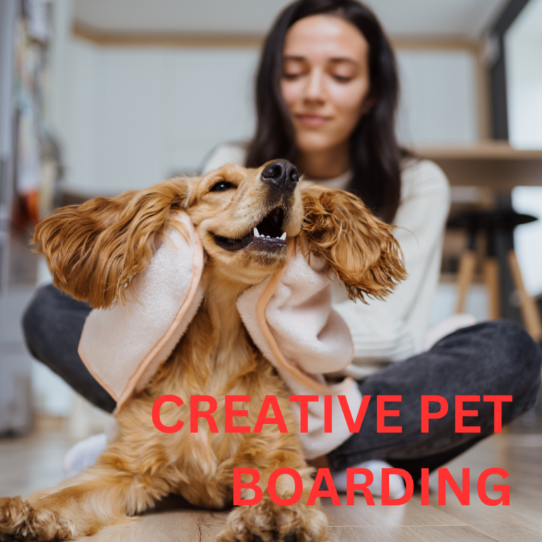 Creative Pet Boarding